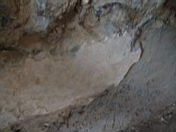 coolross 2695.jpg